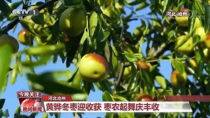中國農業強不強?村民富不富?答案就在這希望的田野上